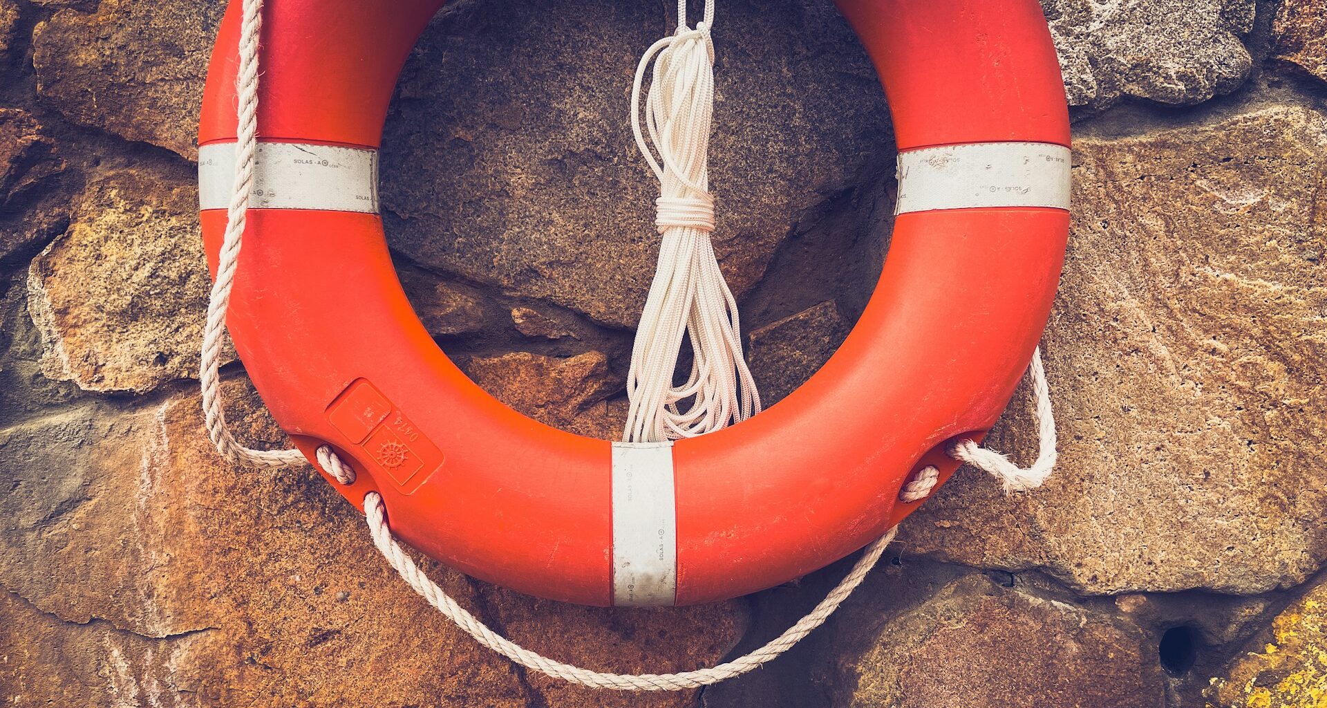 Photo by Jametlene Reskp on Unsplash