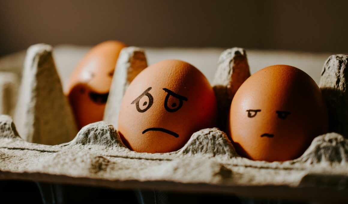 Photo by Nik on Unsplash