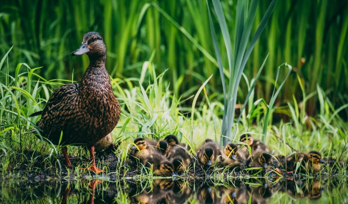 Photo by Vlad Tchompalov on Unsplash